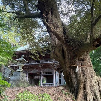薬王院