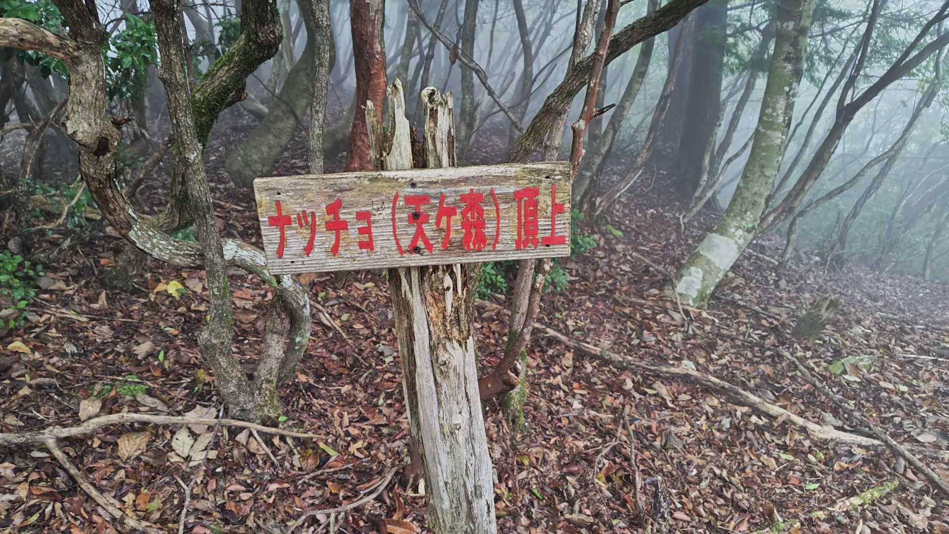 ナッチョ登山口-ナッチョ 往復コースの写真