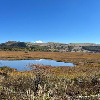 多分、この日歩いてきた山が幾つか、奥に見えます。