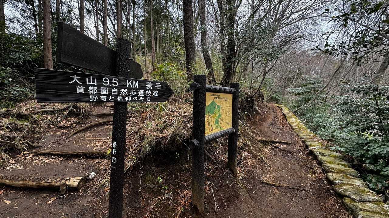 大山（ヤビツ峠〜大山〜鶴巻温泉）縦走 の写真 49