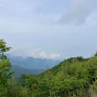 富士山は雲の中。