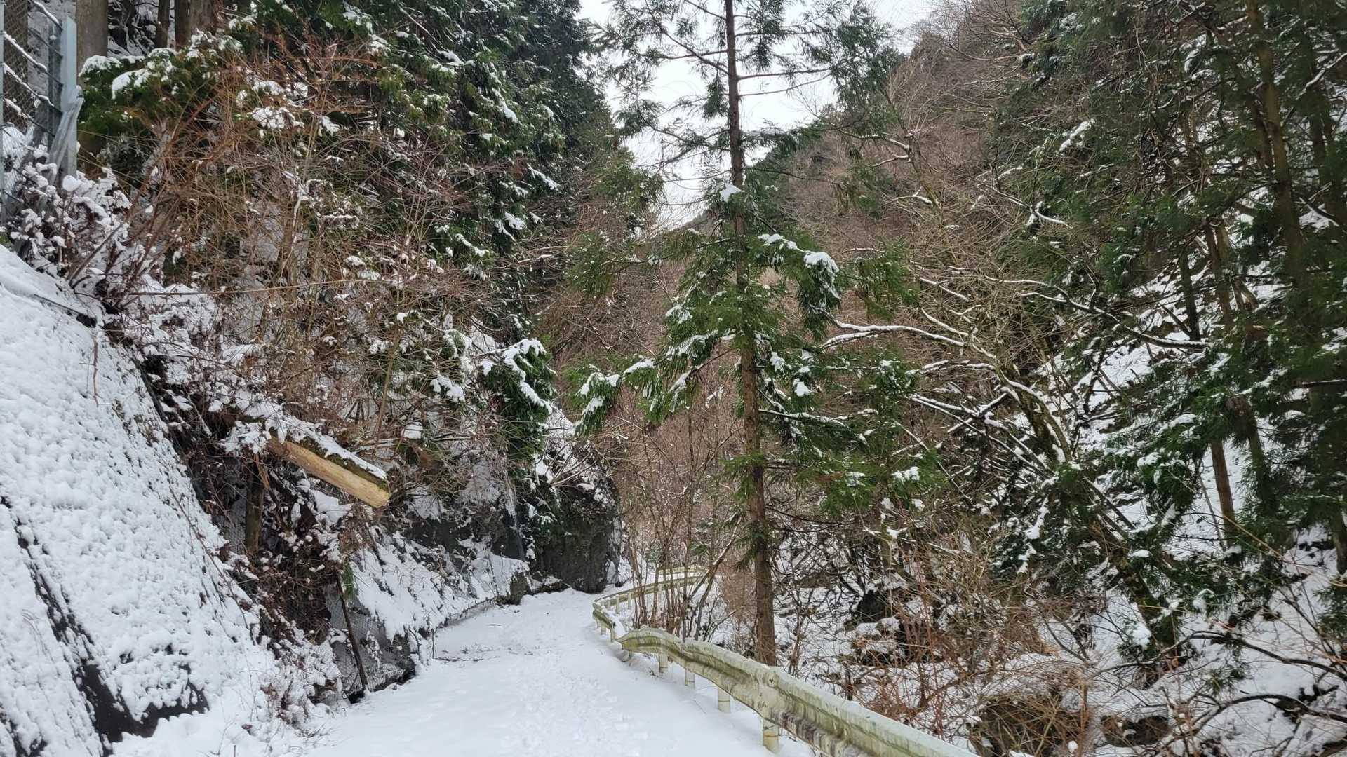 無事に下山(//∇//)