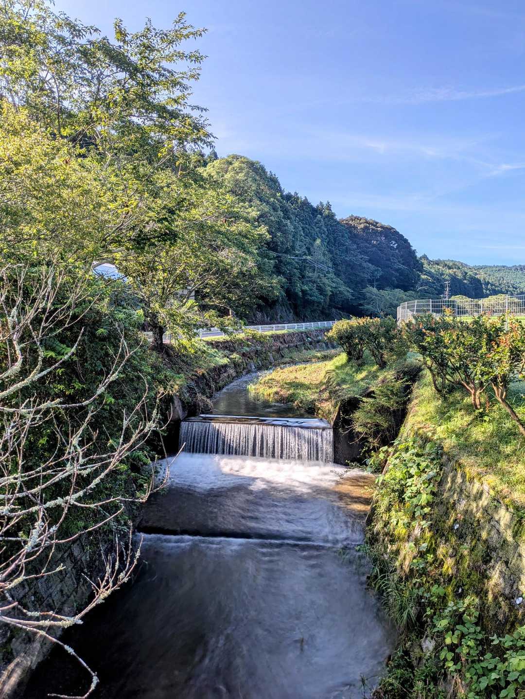 喜桜山-天王山コース登山口　 周回コースの写真