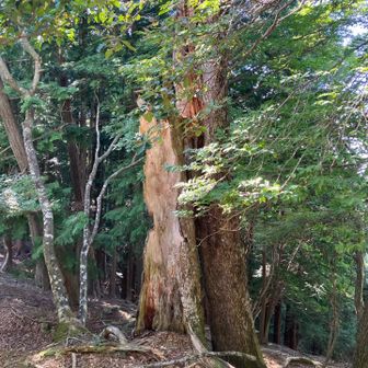 桶ノ水峠