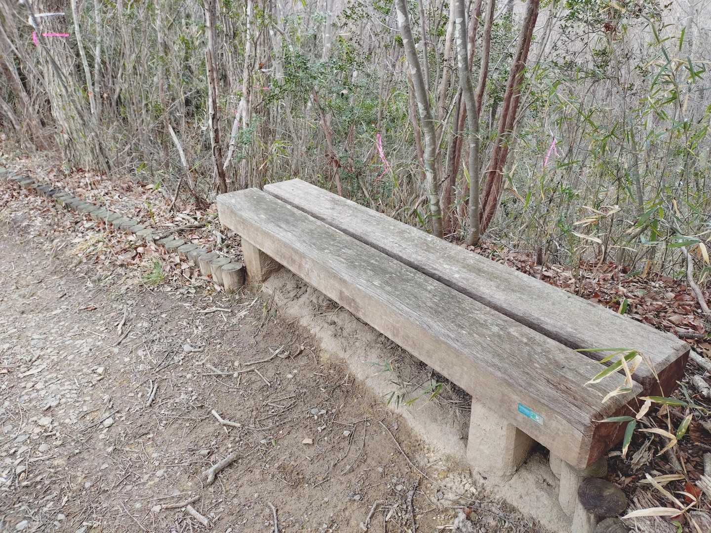 山頂にはベンチもありました

眺望はなし🥺