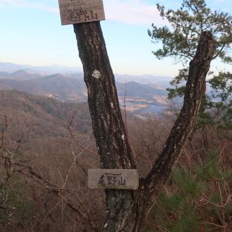 毛野山を行き過ぎてルートをプチロスト