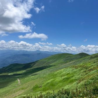 この景色もえーわ😁