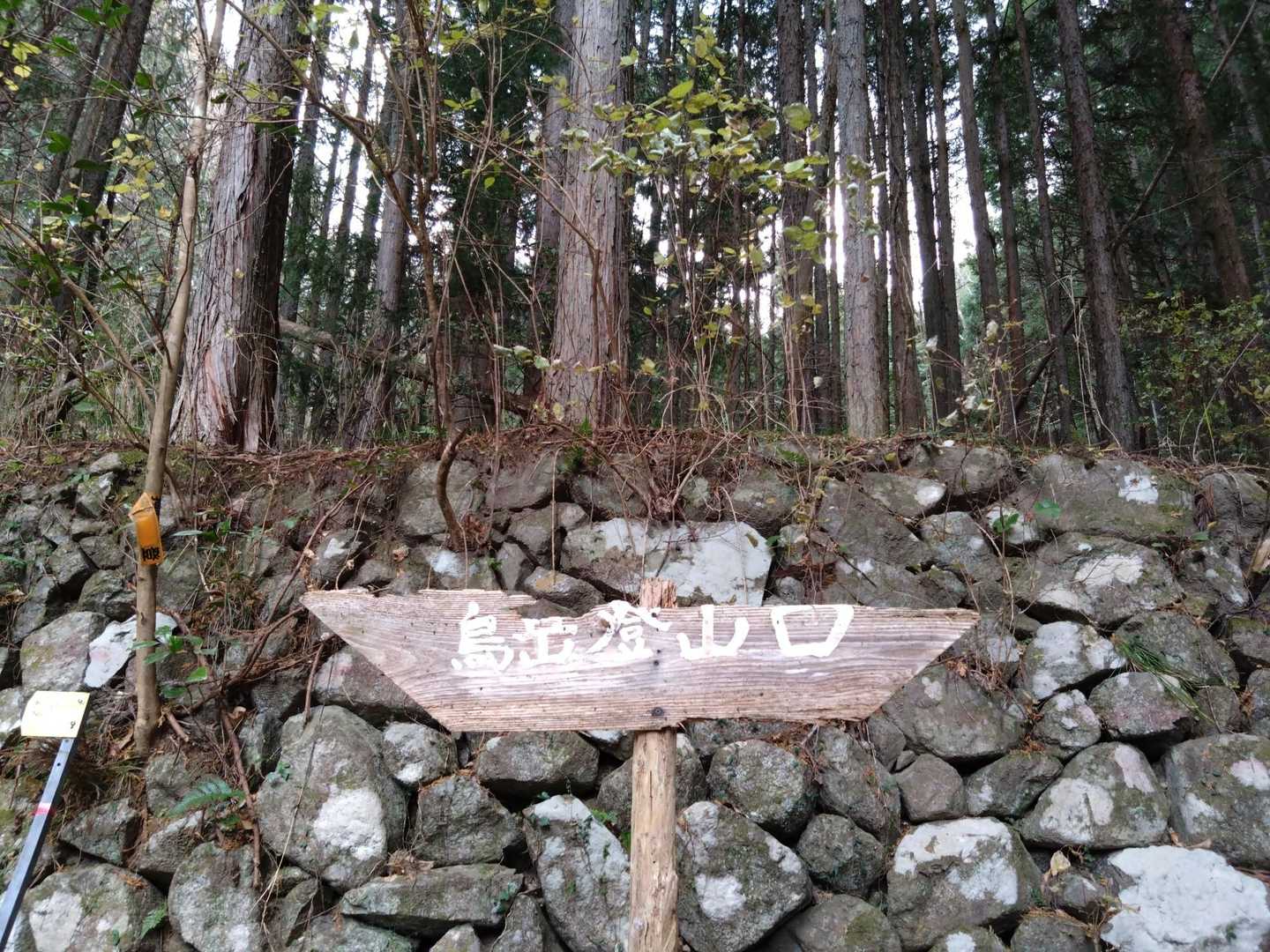 ワクワク🎶