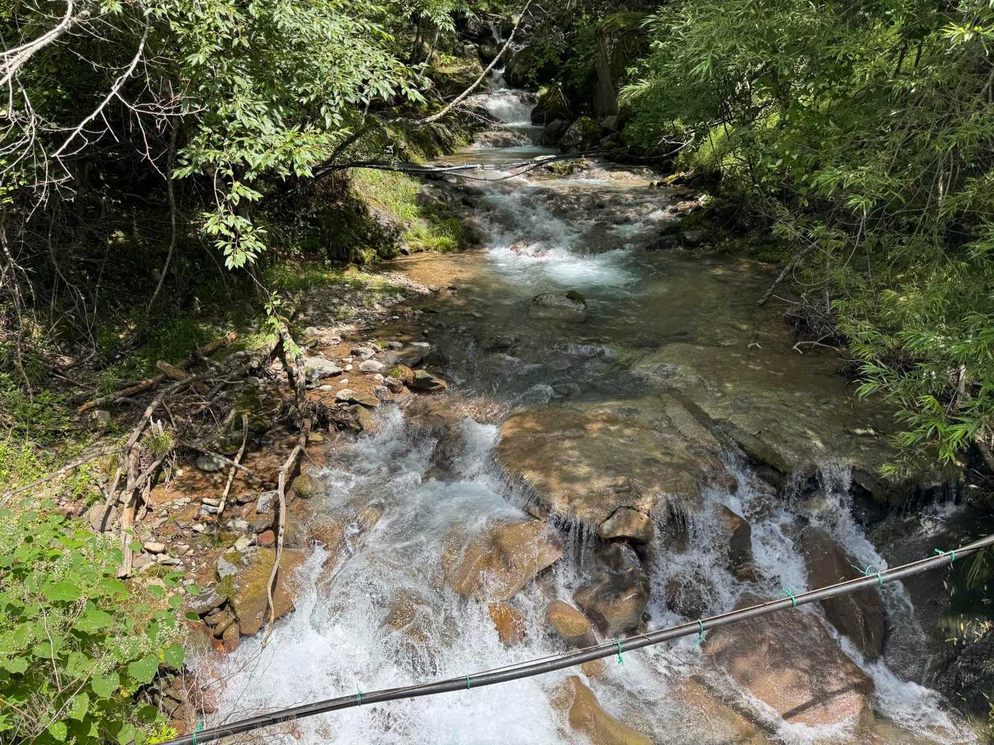 水が豊富です