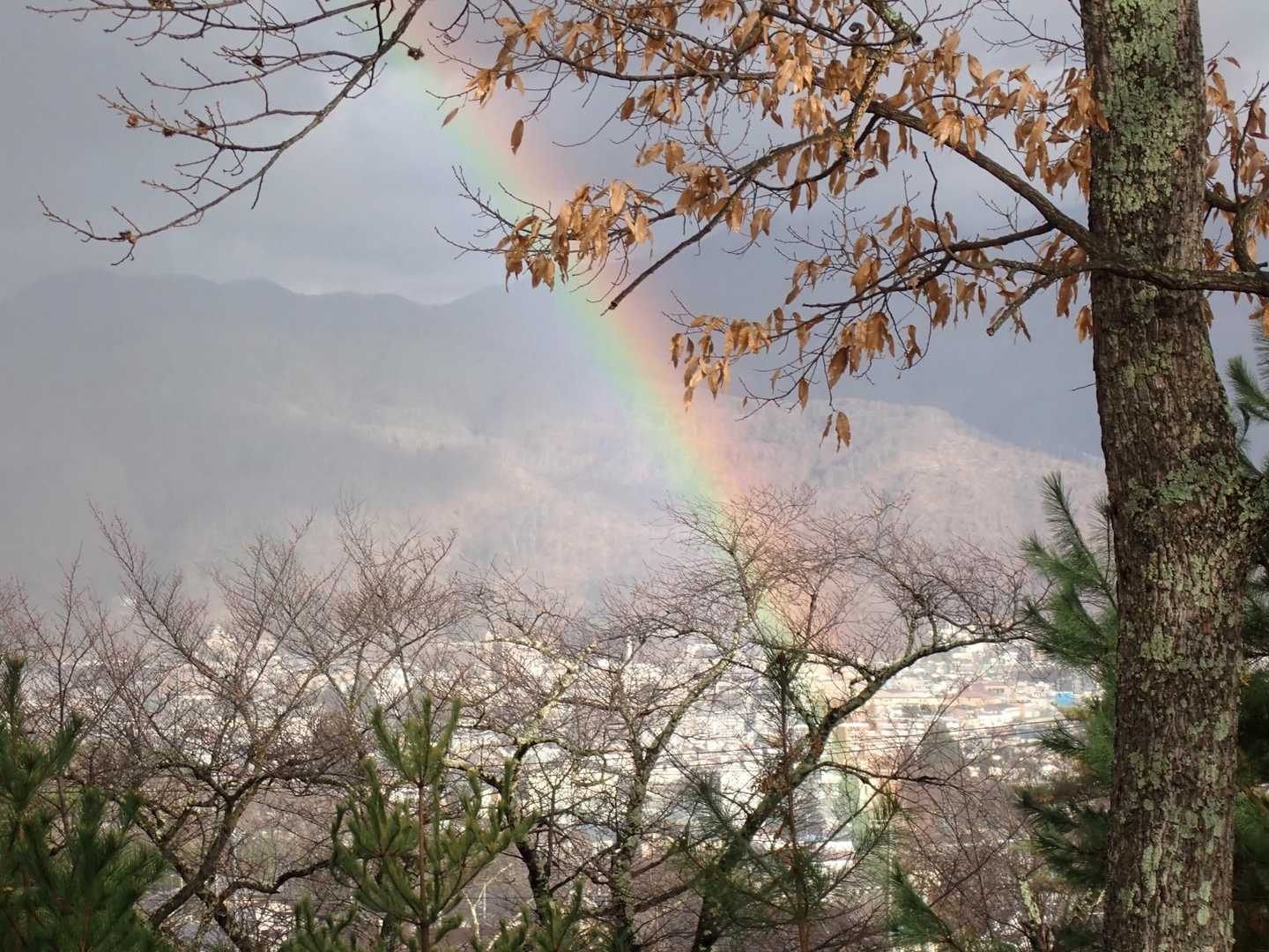 綺麗な虹GET🌈
RYOさん曰く、長野はよく虹がかかると…
そー言ってみたら、risakoちゃんとの初対面の日も🌈を見ながら🚗だった♡
