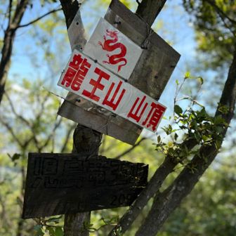 本日の最高峰⛰️