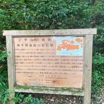 金華山の地質の説明が😃
金華山はチャート