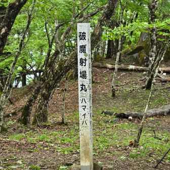 漢字で書くと…破魔射場丸
むずかしー🤔