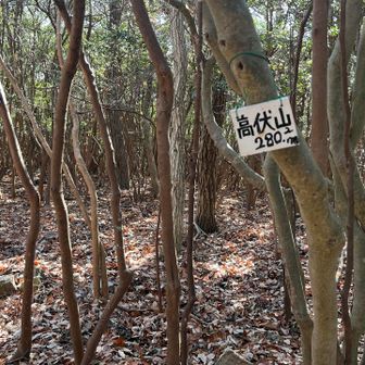 ちょっと寄り道的なこのピーク、結構遠くて疲れました😓
眺望も無いけど、とりあえず行っとかな！