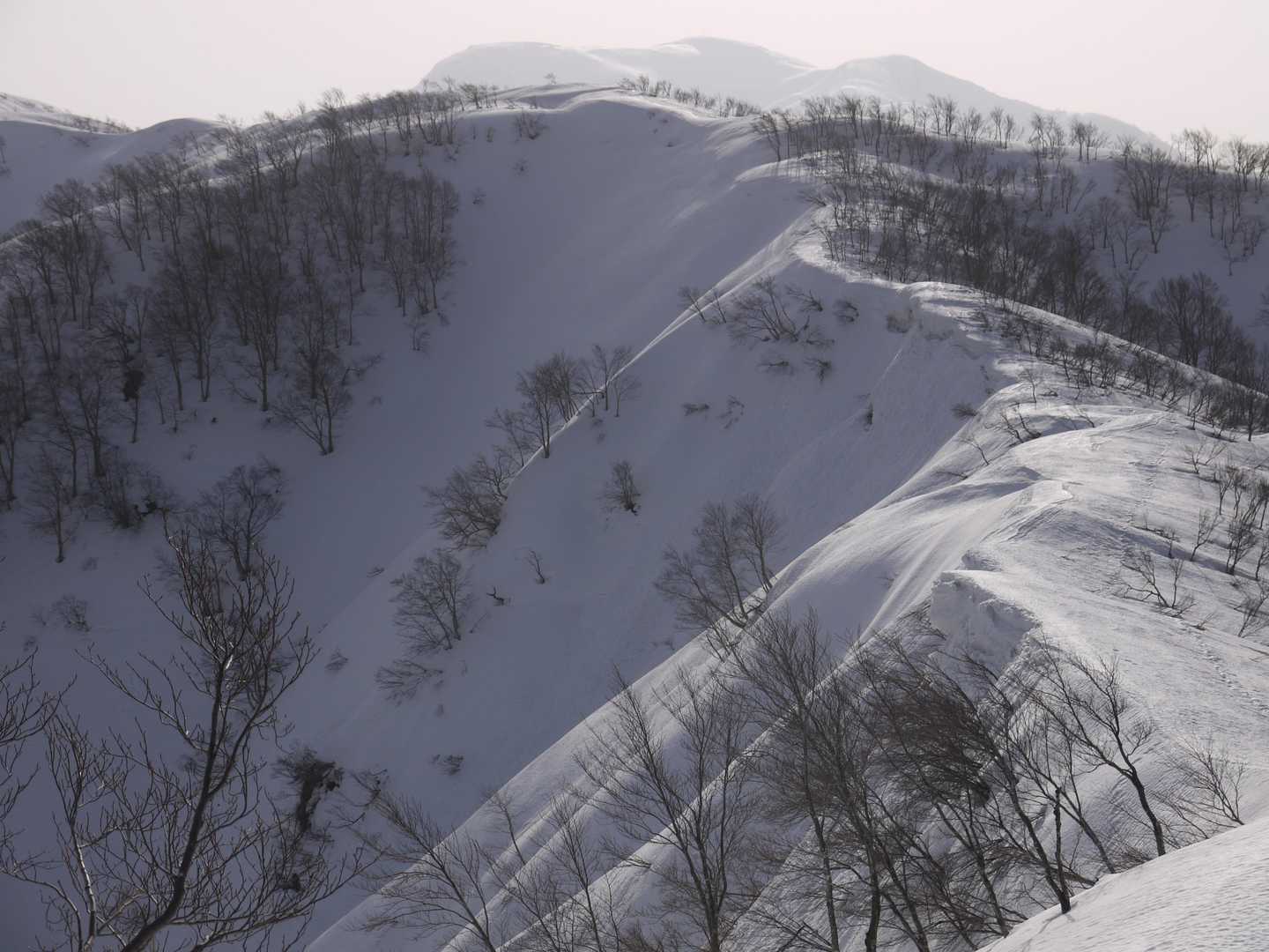 今年の雪庇は小さい