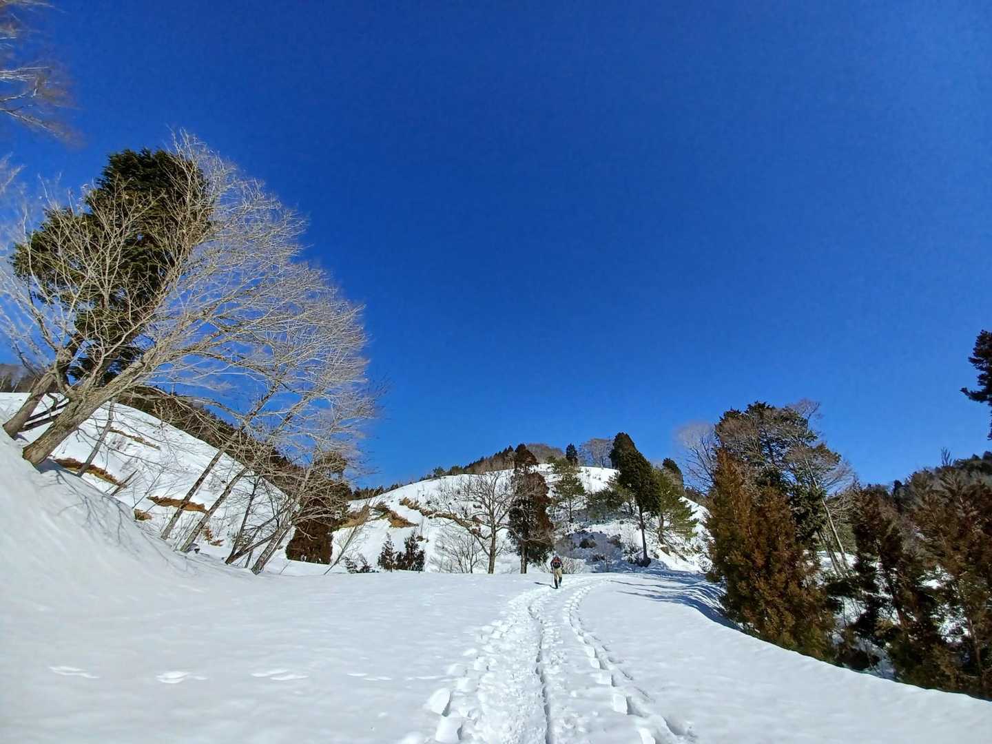 チェーンスパ、歩きやすくていいわぁ😃