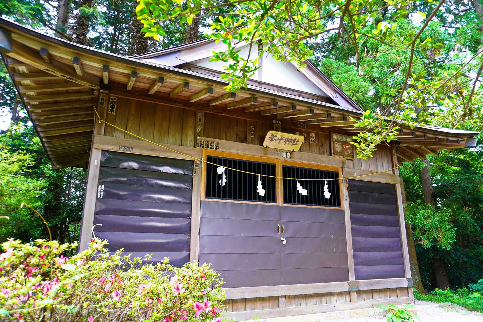 琴平神社です ⛩️