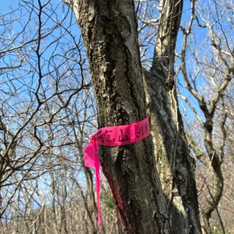 最初のピーク雨乞山