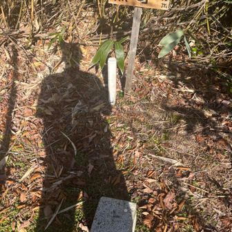 帰りにちょろっと