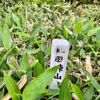 北峰到着。渋〜い標識。これで引き返します。