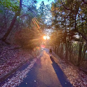 【朝日】
今年は待ち時間が長いので、モッコモコに着込んできたけど…やっぱり歩くと暑かった😅
麓まで降りて、YAMAP終了。

2026年も、楽しく安全に山に登れることに感謝😊

Morning Sun
The waiting time was long this year, so I dressed up warmly… but once I started walking, I got too hot.
After reaching the foot of the mountain, I finished logging the hike on YAMAP.

I’m grateful to be able to enjoy safe and fun hikes again in 2026.