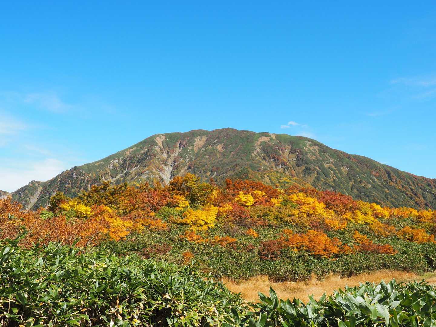 この辺で必ず中ノ岳を📷撮っちゃう場所