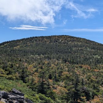 穏やかな山容です。