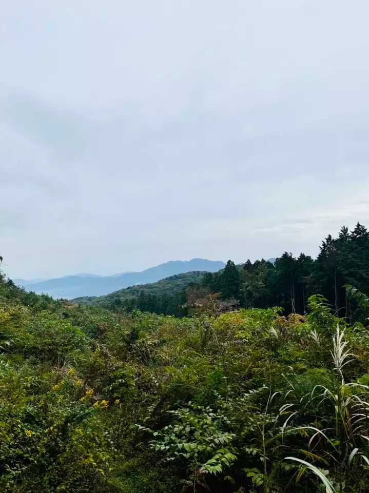 加波山の写真