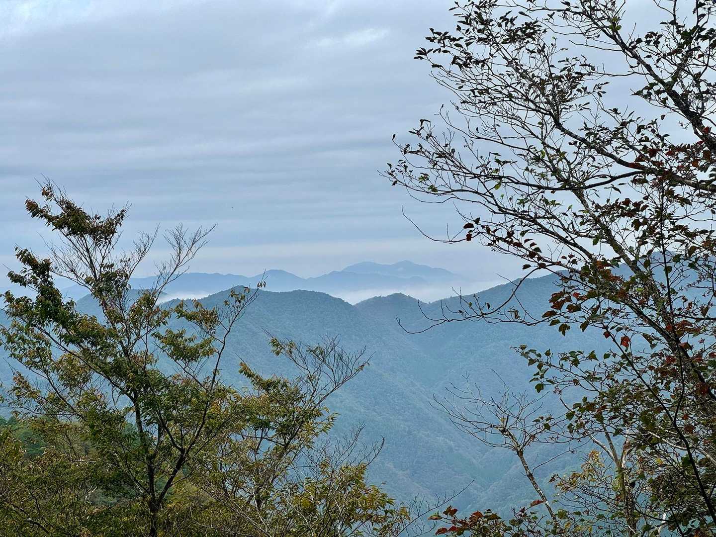 遠くに雲海が見えました