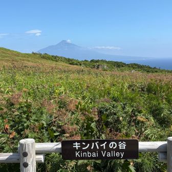 レブンキンバイはまったく見つからず...😭