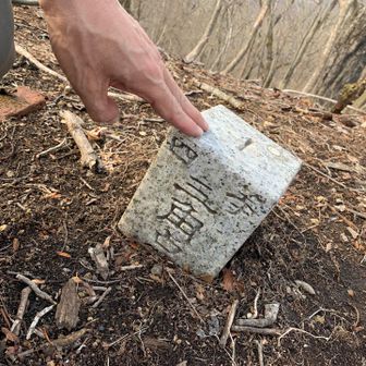 四等三角点。
点名:つつじか峰