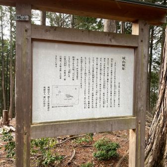 城山城跡にに到着！
ヤマップピークはここになります👇