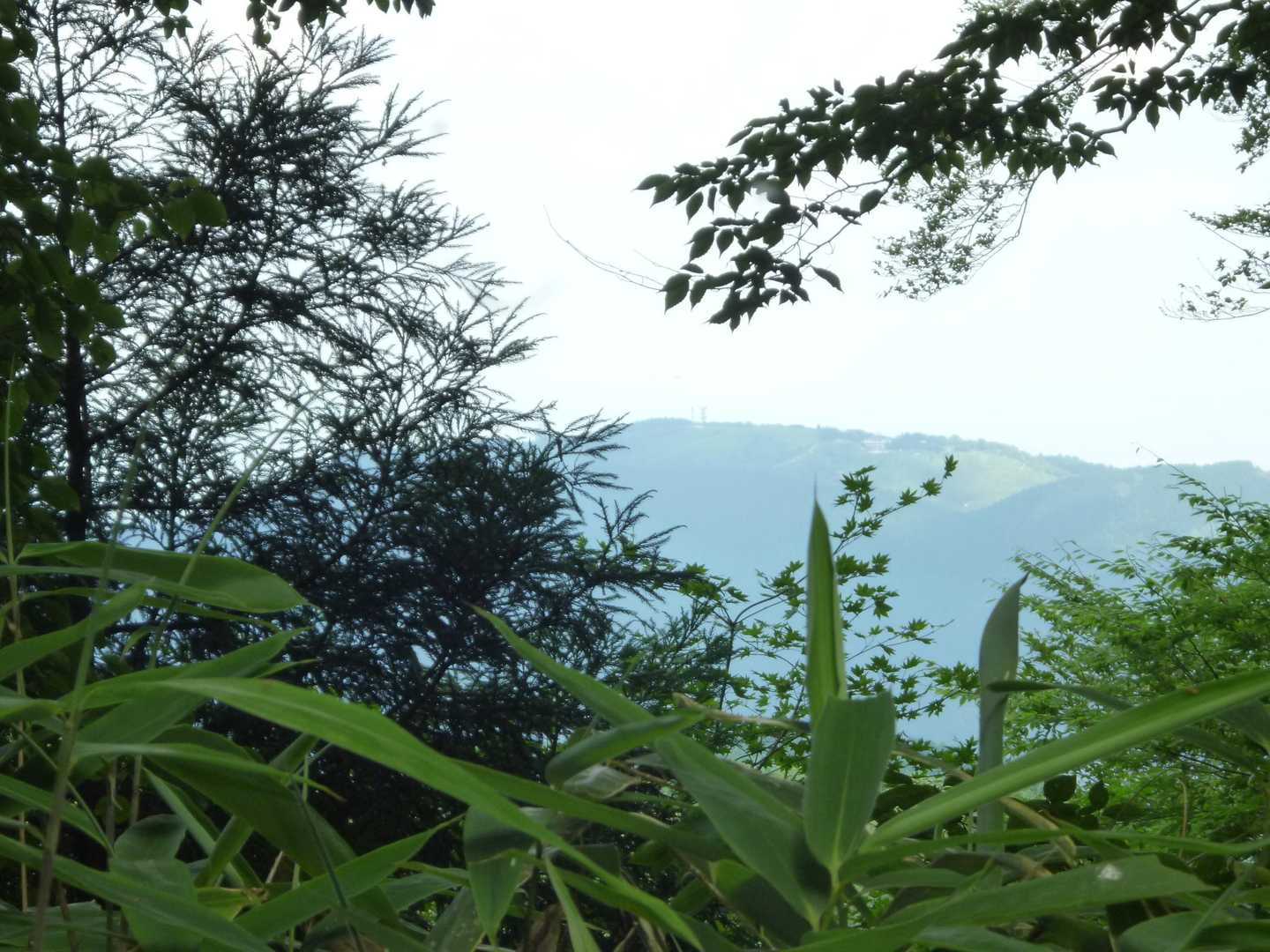 少し霞んでいるけど😍