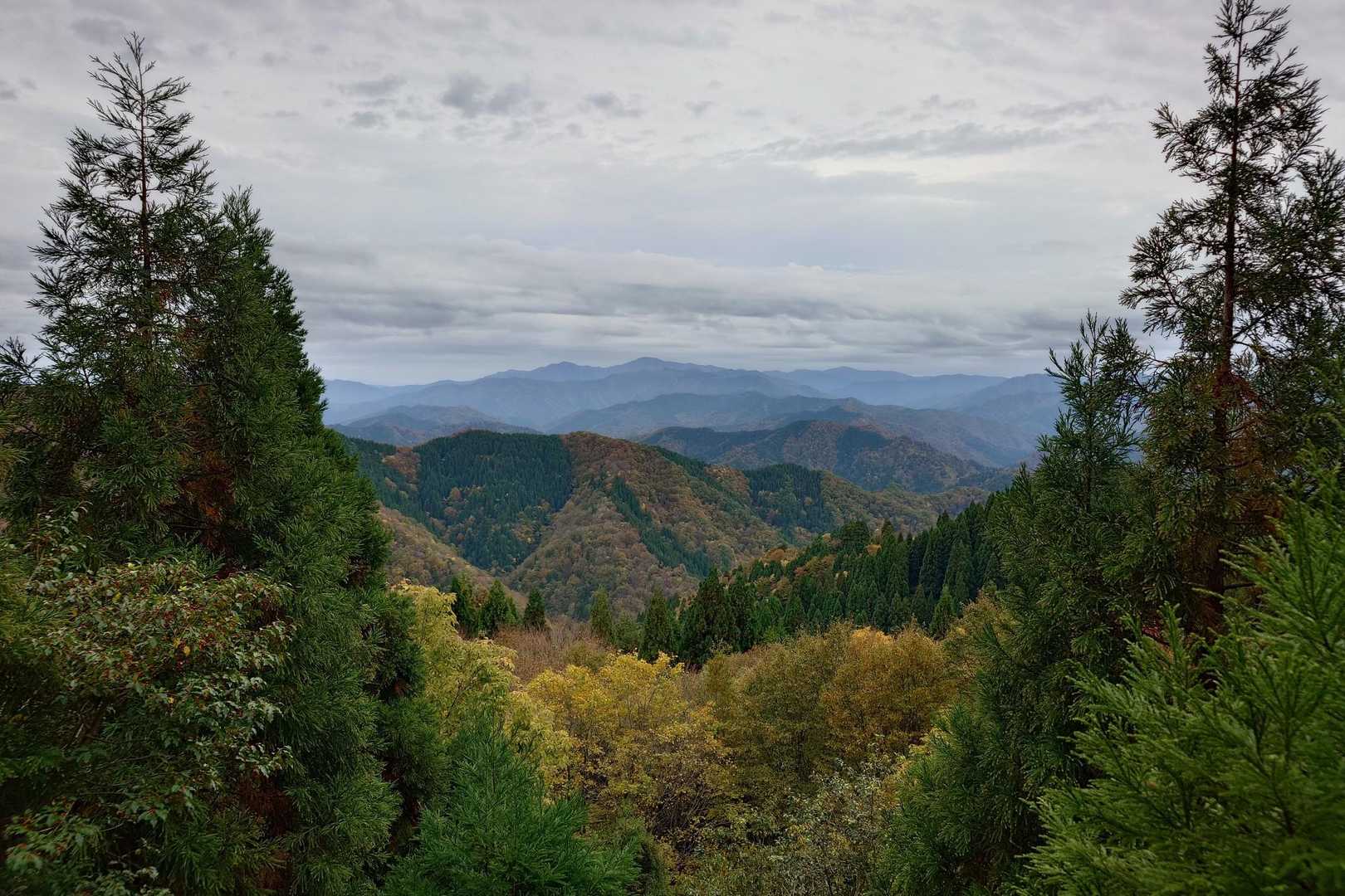 シチグレ峠-百里ヶ岳-根来坂峠 周回コースの写真