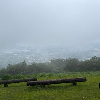 ちょっとだけガスガスじゃなくなったが、また直ぐにガスガスで真っ白に。
今日のお目当ては紫陽花なので気にならない。😁
