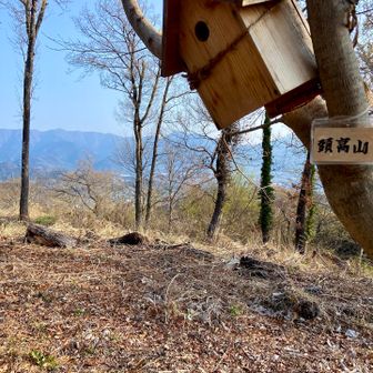 頭高山山頂、丹沢の山々が見渡せます
