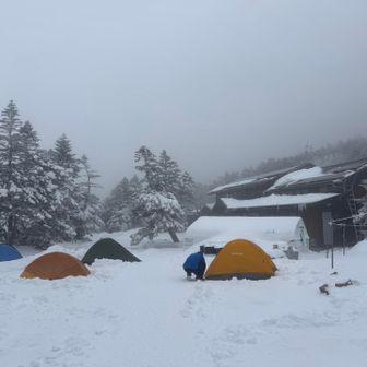 よくやるなぁ⛺️