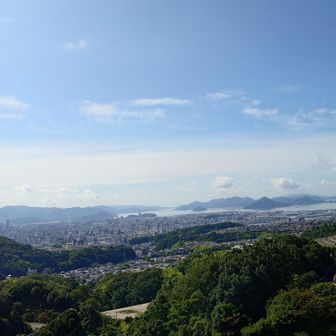 階段上がるとこんな景色が見えてきます