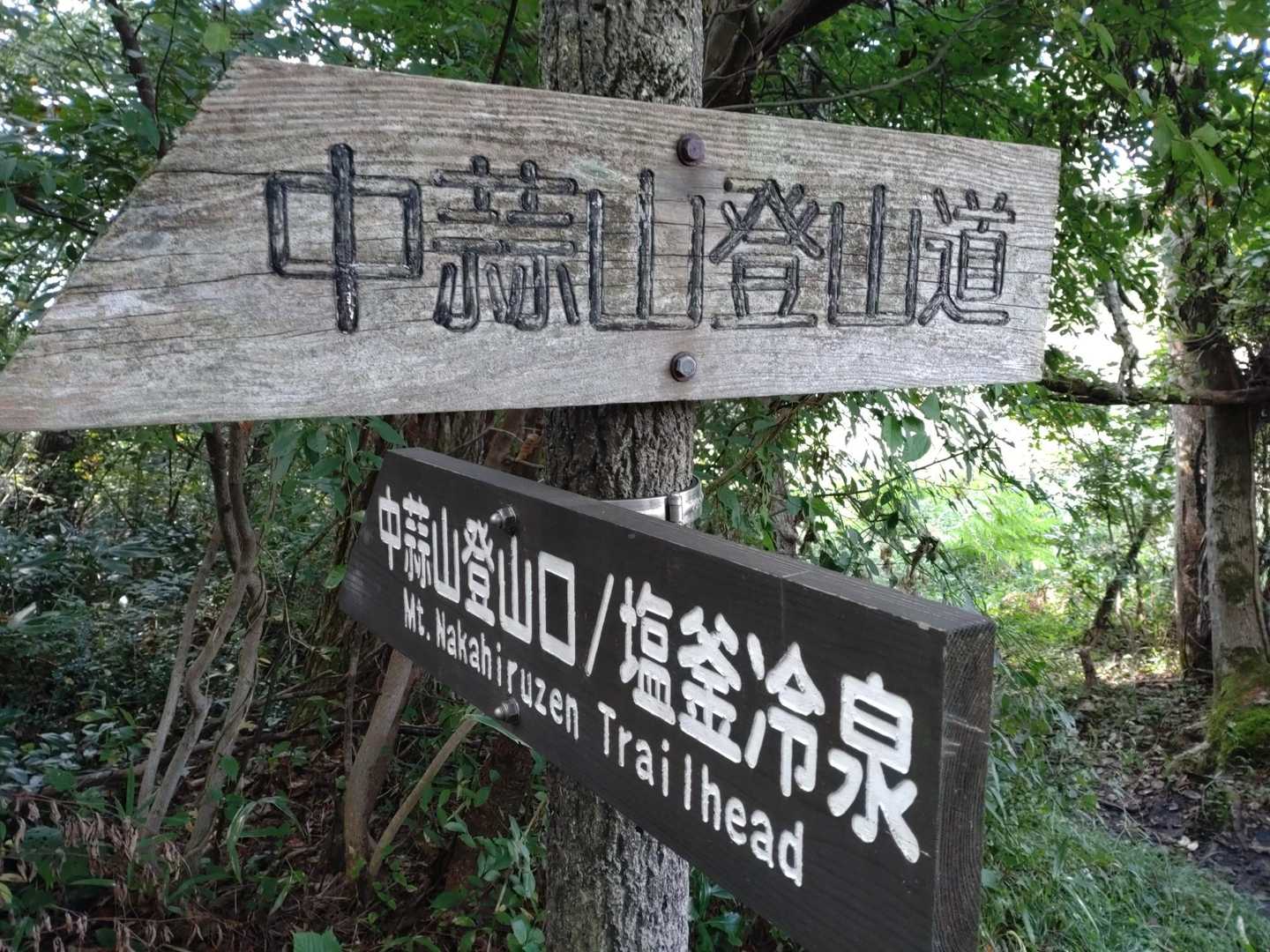 さ〜て、頑張って歩きましょう❗