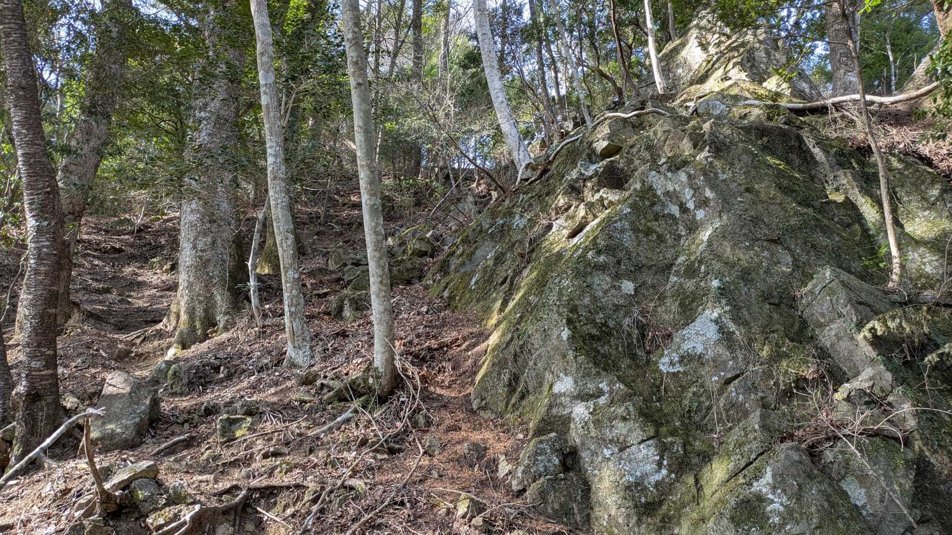ひえー😱
ここ登るの？