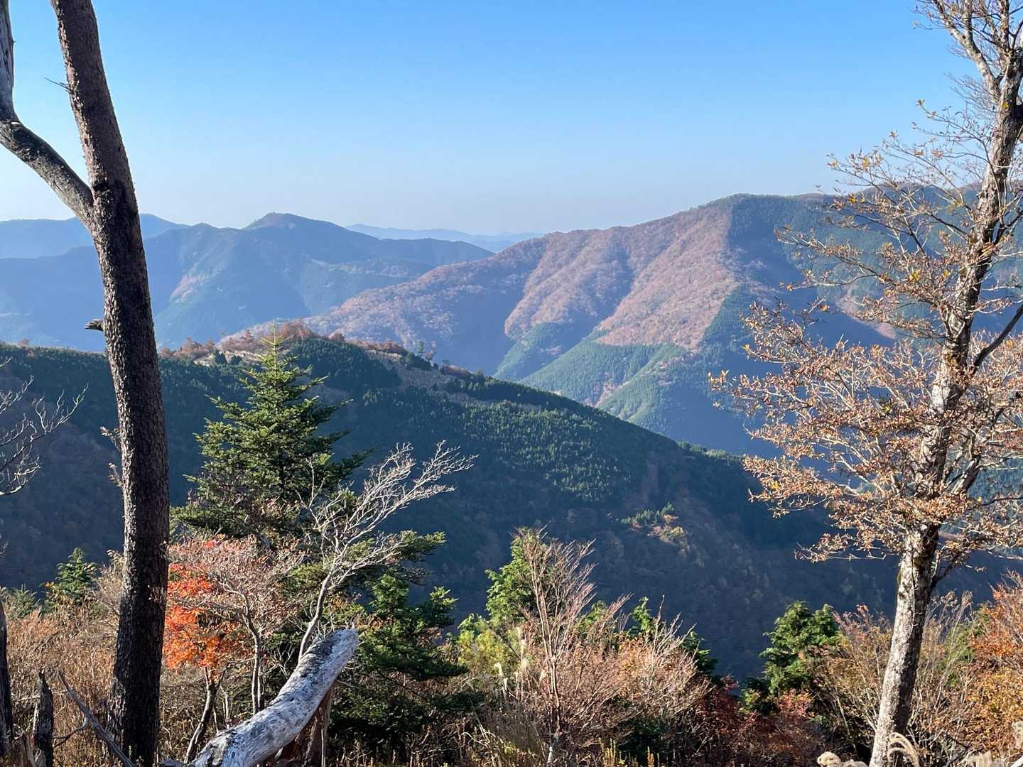 口千丈岳登山口-口千丈山-焼山ノ太尾ノ頭 往復コースの写真
