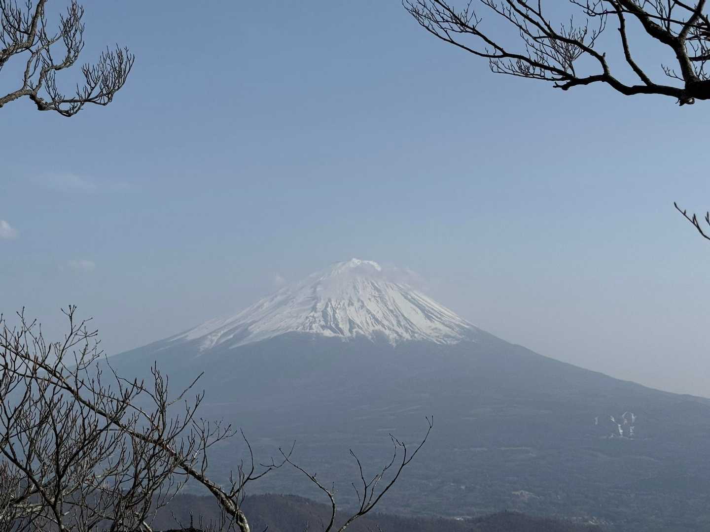 富士山はいつ見てもいい🗻