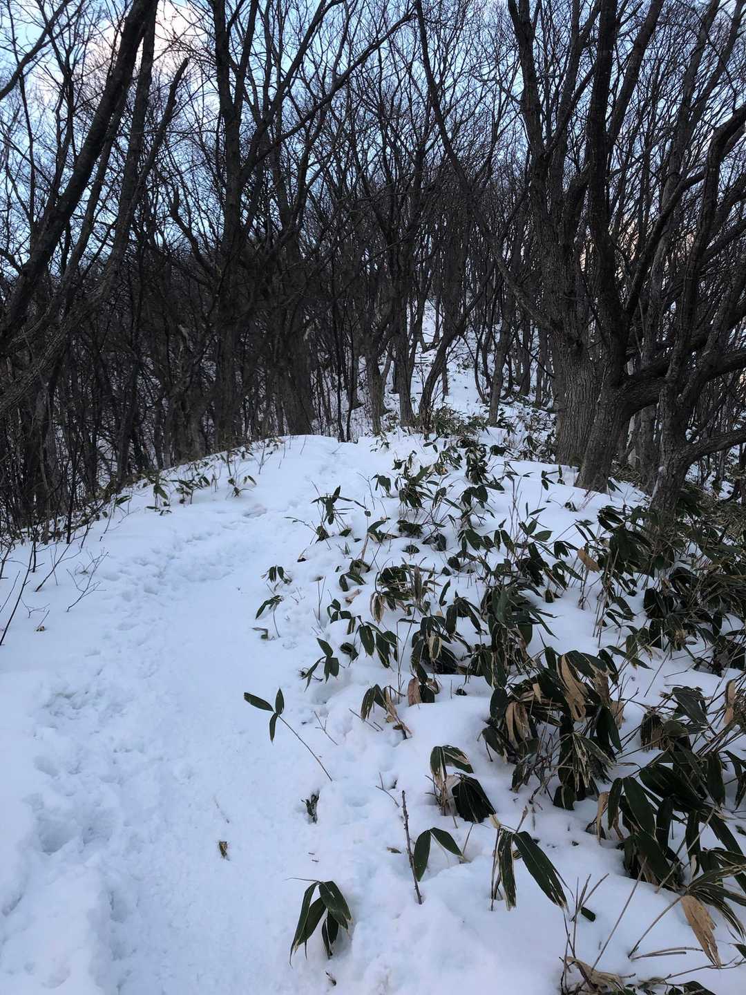 大下り、いや
大登りして…

さっきから結構登るなぁ