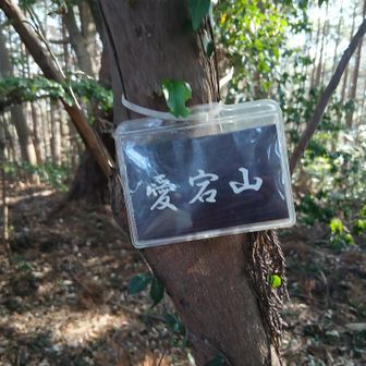 ⑧愛宕山