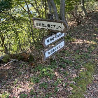 殿池の方へ下ります