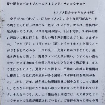 へぇ～