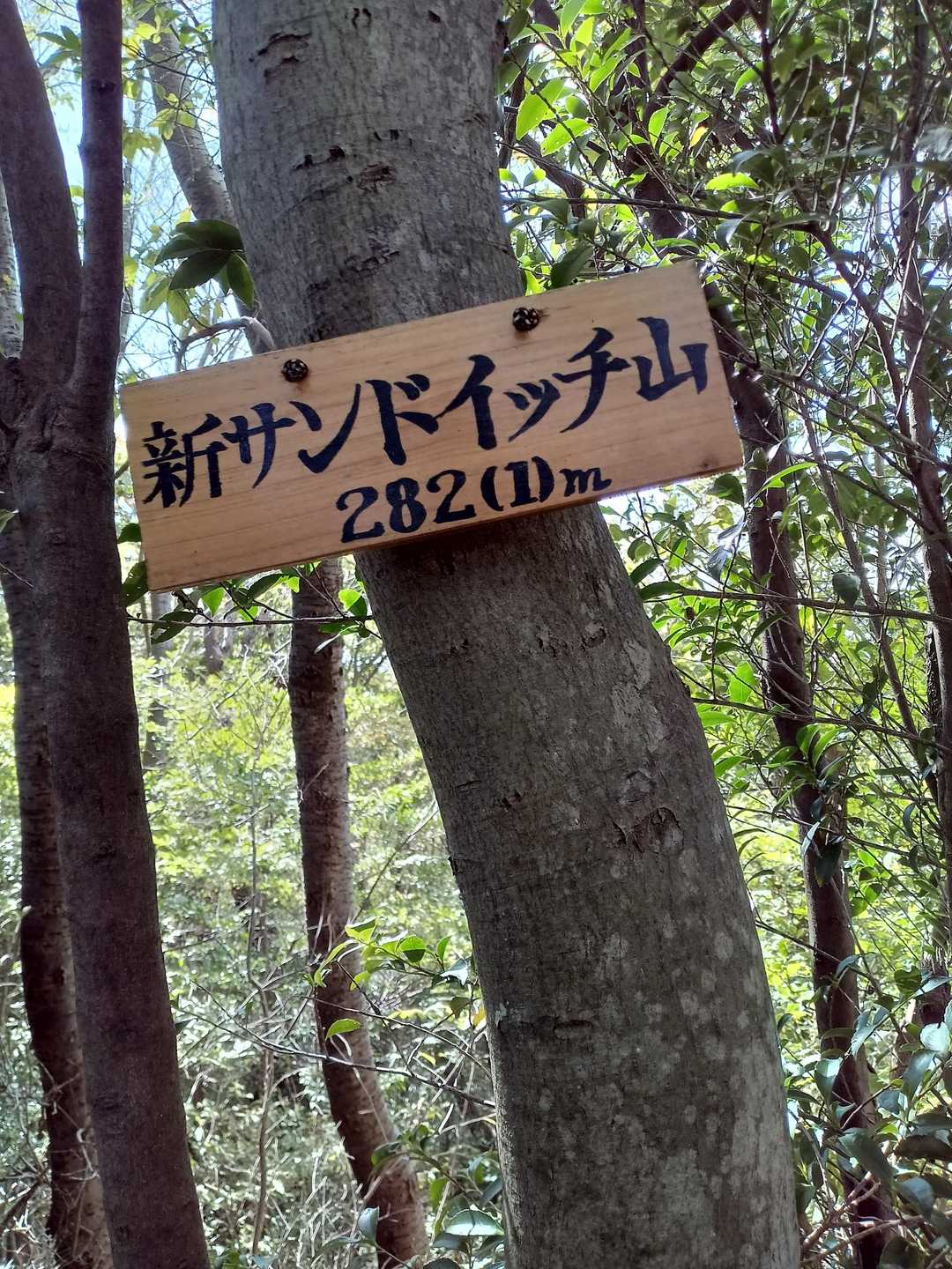 国見山登山口-国見山-ふれあいの里-交野山 往復コースの写真
