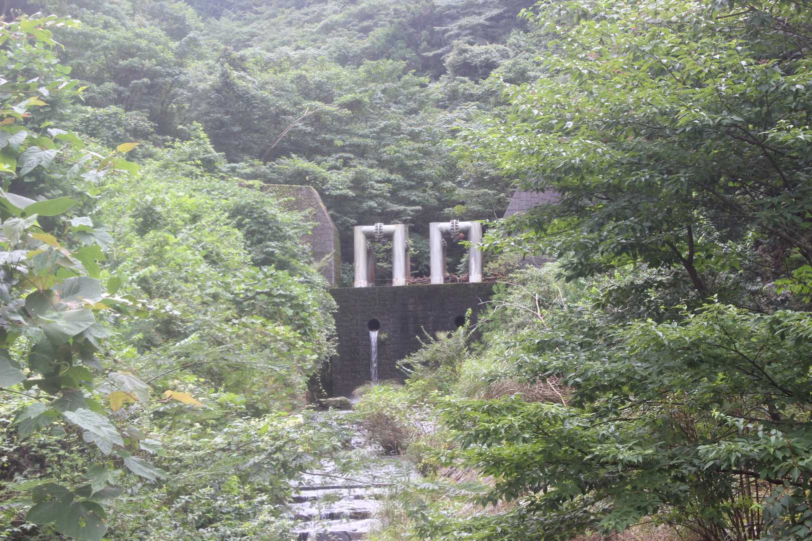 桂木山 往復コースの写真