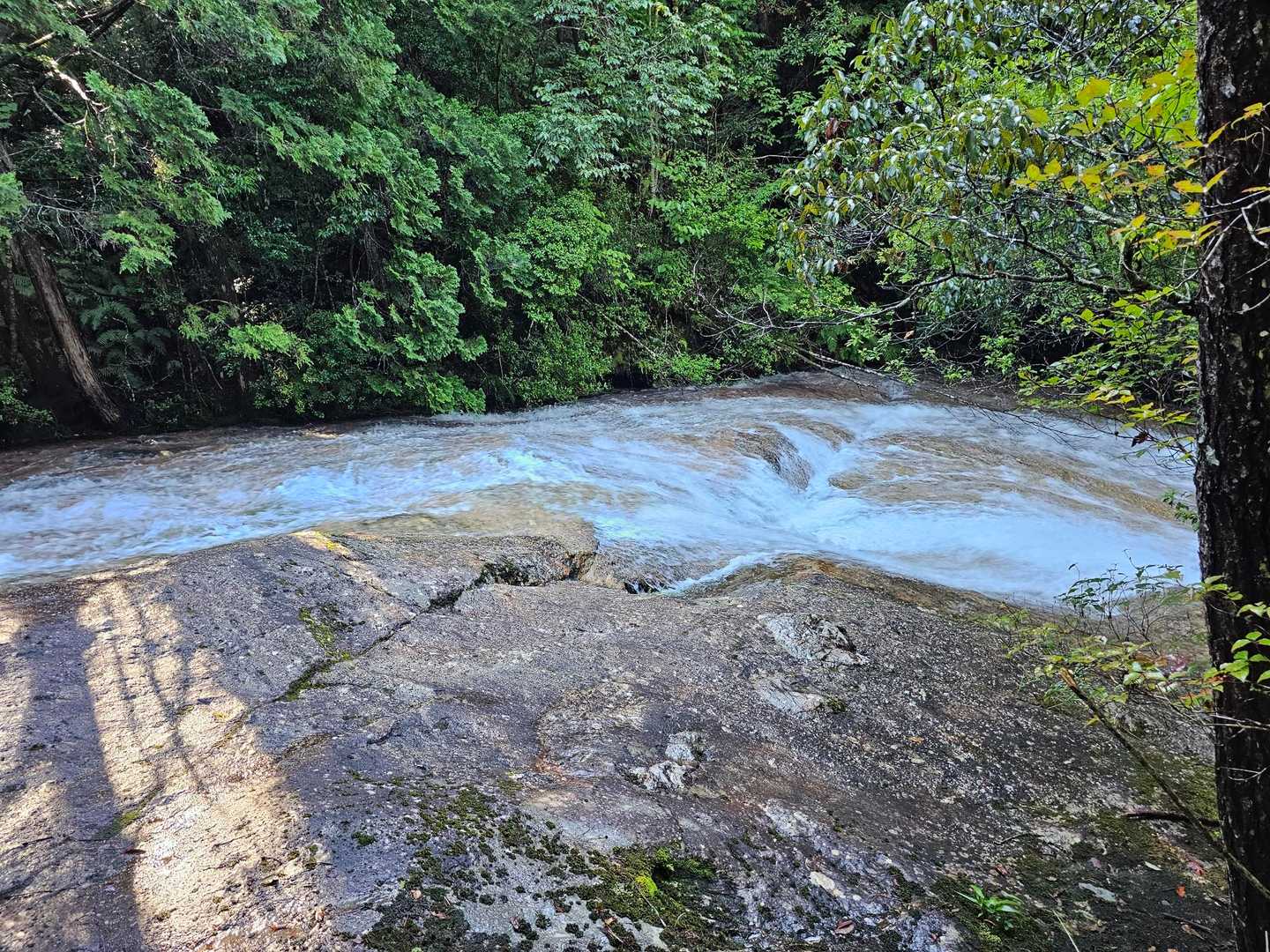 沢の水の勢いが凄い