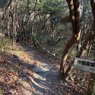 ようやく登ったと思ったらキツい下りが待ってます😂